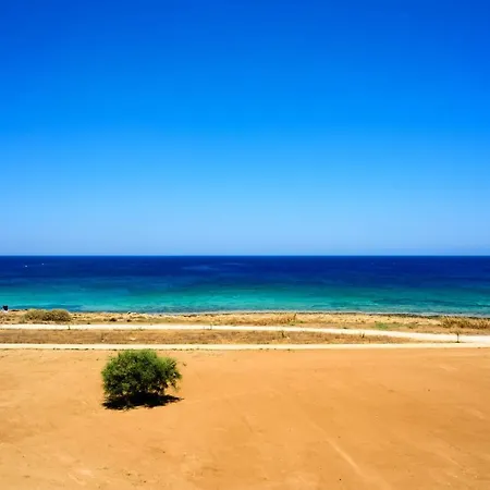 Indigo Protaras